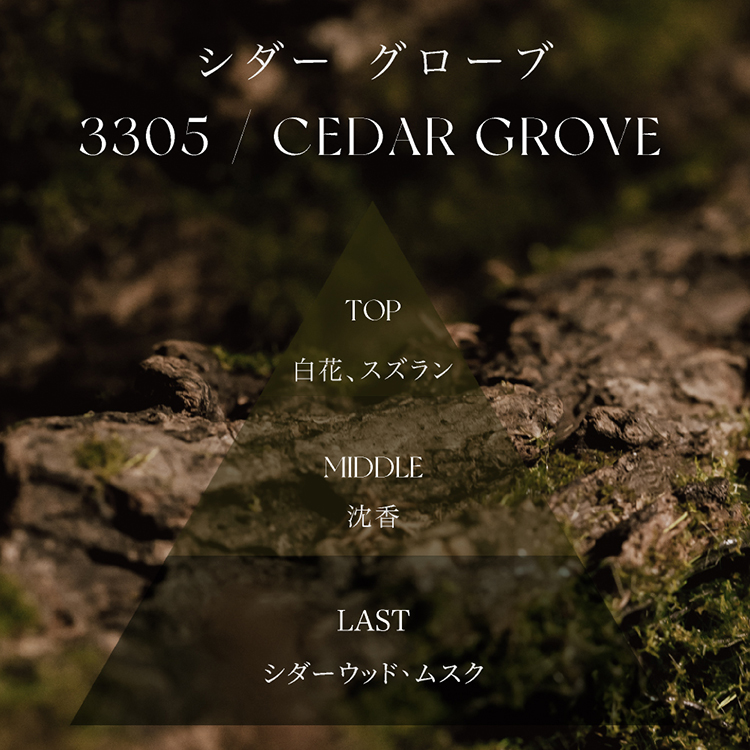 3305 CEDAR GROVE