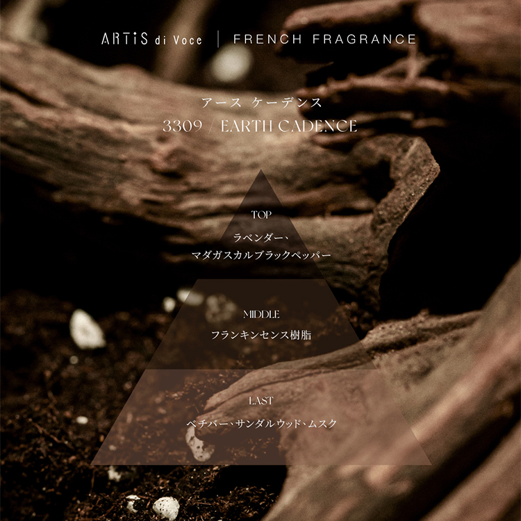 3309 EARTH CADENCE