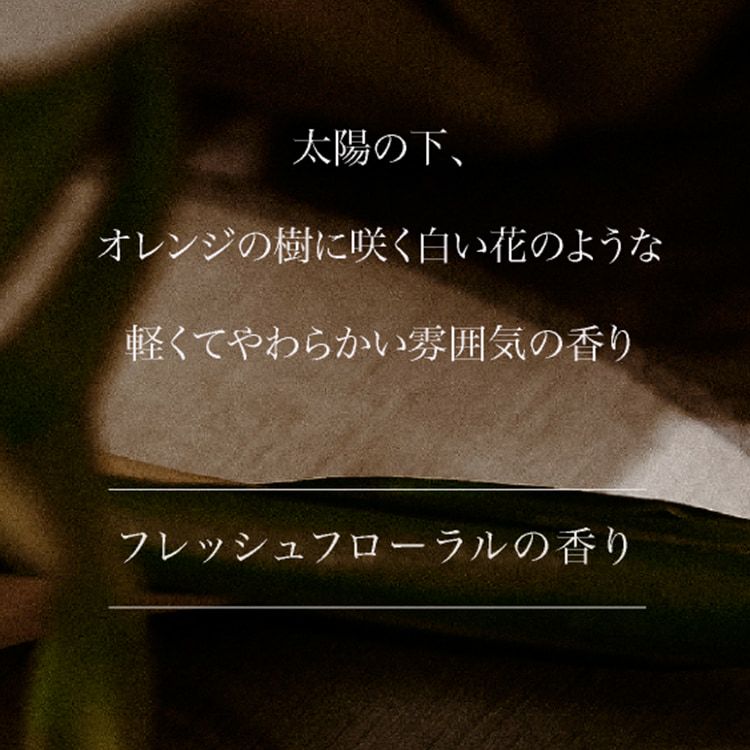 ARTiS di Voce ハンドウォッシュ 220ml 3302 ARTiS di Voce ハンドウォッシュ 220ml 3302 Amazon.co.jp: ARTiS di